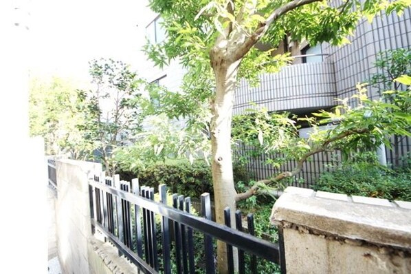 Dreamia千歳烏山の物件内観写真